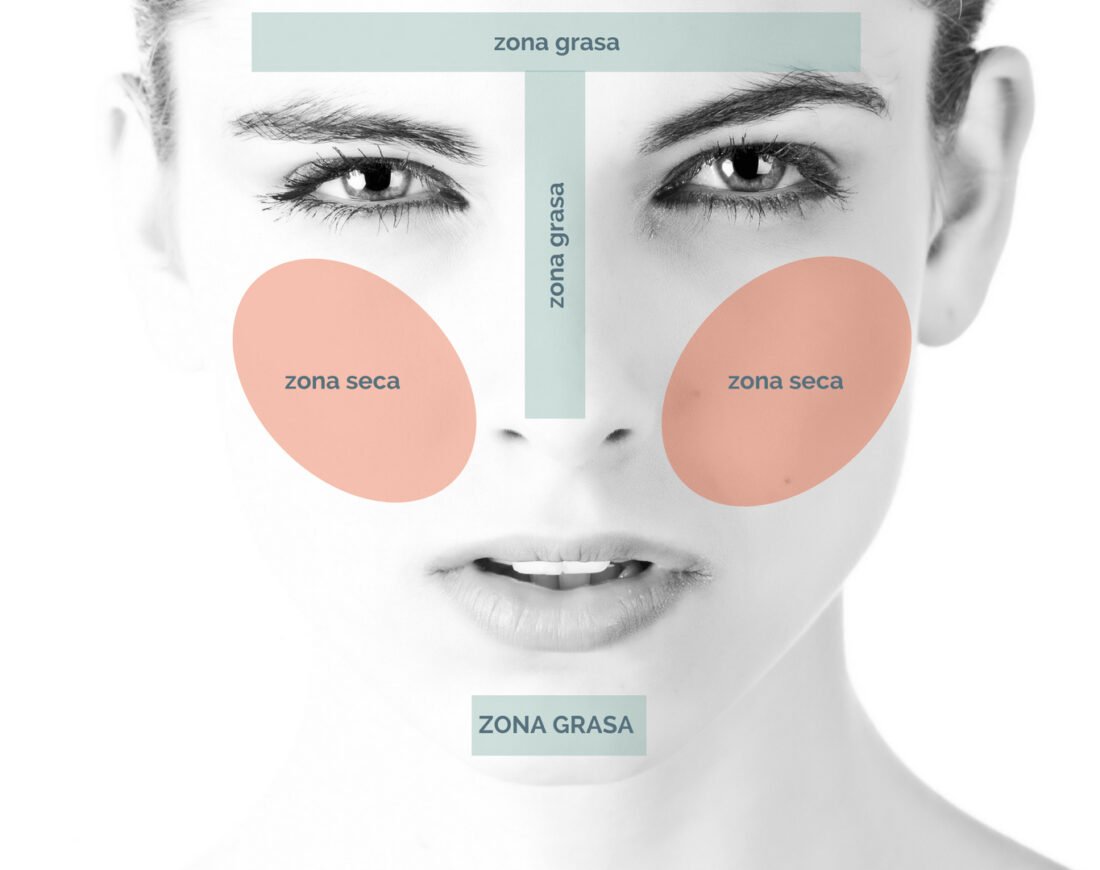 Zonas de la Piel del Rostro